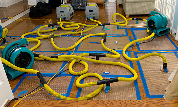Professional Flood Damage Restoration technician working in Jericho, NY